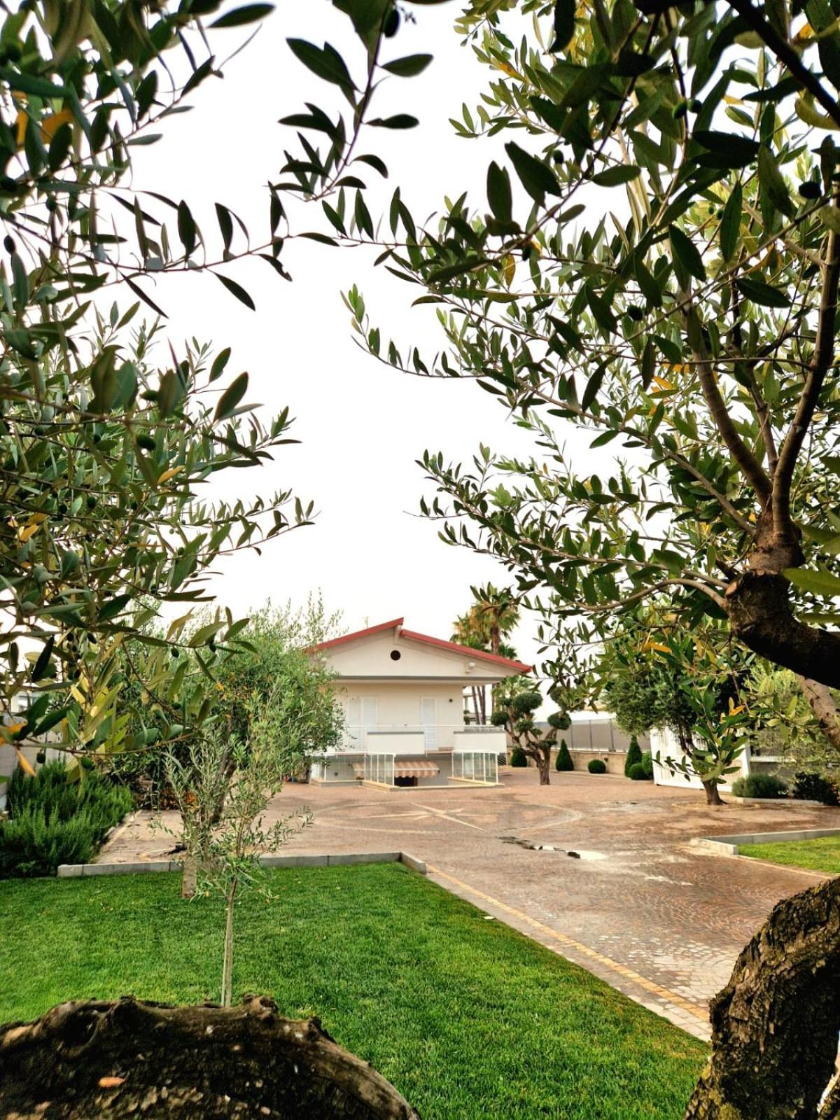 Corte D'Aniello Скафати Экстерьер фото